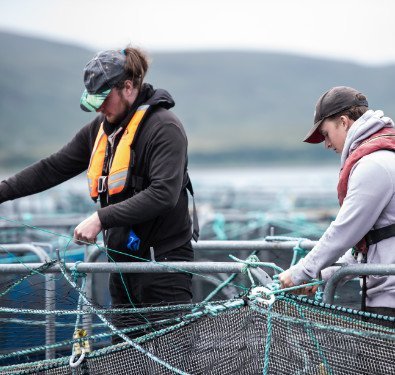 Wester Ross Atlantic Salmon - 8 oz. Portion