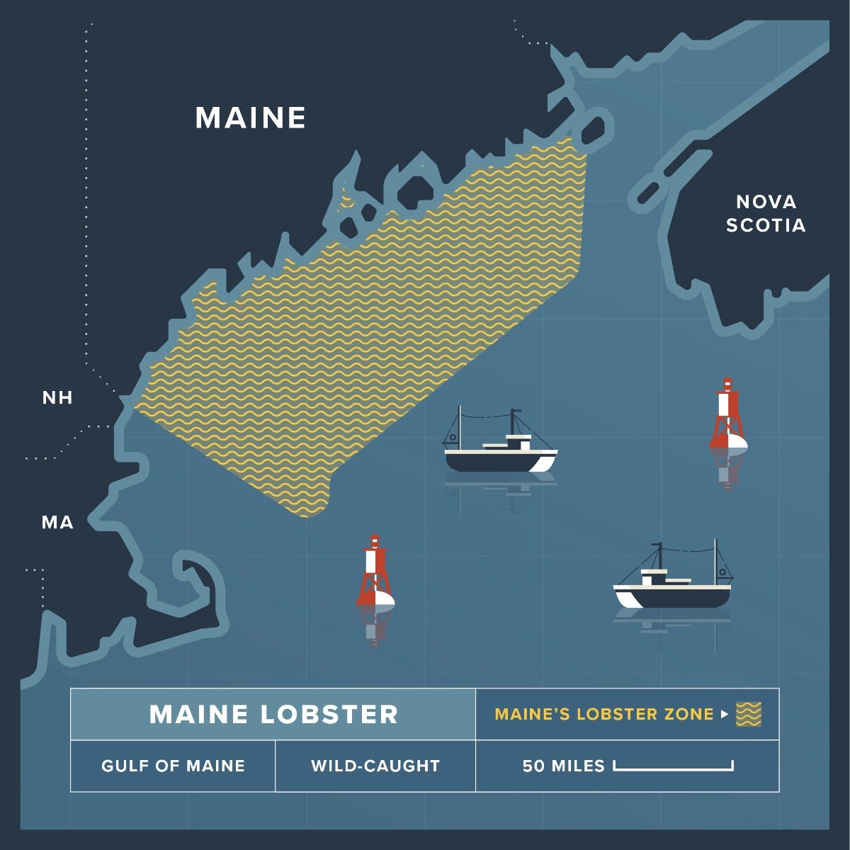 2.5 lb Live Maine Lobster